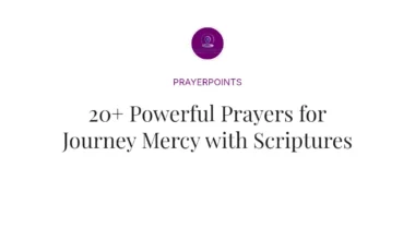 20+ Powerful Prayers for Journey Mercy with Scriptures