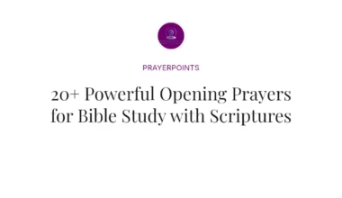 20+ Powerful Opening Prayers for Bible Study with Scriptures