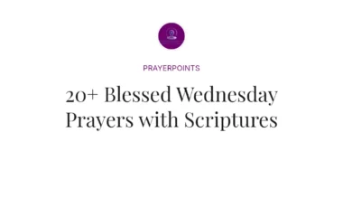 20+ Blessed Wednesday Prayers with Scriptures