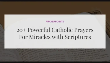 20+ Powerful Catholic Prayers For Miracles with Scriptures