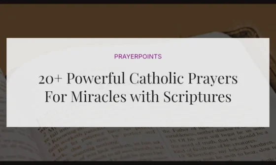 20+ Powerful Catholic Prayers For Miracles with Scriptures