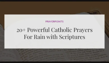 20+ Powerful Catholic Prayers For Rain with Scriptures