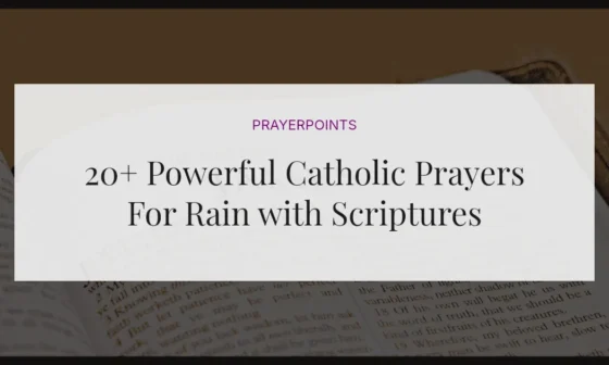 20+ Powerful Catholic Prayers For Rain with Scriptures