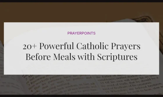 20+ Powerful Catholic Prayers Before Meals with Scriptures